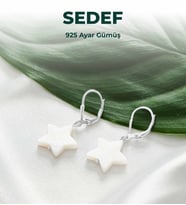 Luxtone Sertifikalı Sedef Yıldız 925 Ayar Gümüş Küpe Kadın Takı LX0850KP