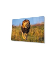 Aslan Cam Tablo 4mm Dayanıklı Temperli Cam (Çok Renkli)