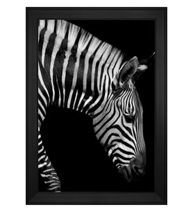 Hayvanlar Temalı Kanvas Tablo 50 x 70 cm Siyah Çerçeve