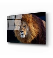 Aslan 8 Cam Tablo