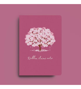 Rabbim İlmimi Artır İslami Defter (Ayet-Hadisli)