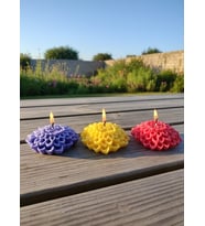 YILDIZ ÇİÇEĞİ 3'LÜ HEDİYELİK DEKORATİF HOŞ KOKULU SOYA WAX MUM (KIRMIZI + SARI + MOR RENKLİ)