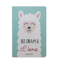Lama Notebook Su Yeşili - Defter