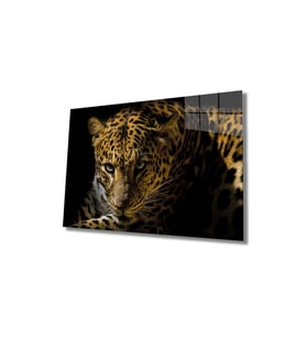 Miyrem Glasses Collection -A1^#  Leopar Hayvan Cam Tablo (Çok Renkli)