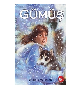 Gümüş