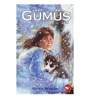 Gümüş