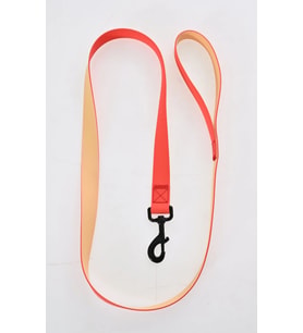 PVC Nar Çiçeği Köpek Tasma Kayışı