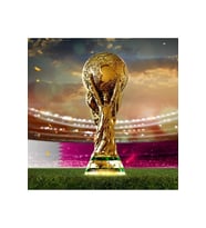 36,5 Cm Boy Fifa World Cup - Dünya Kupası 500gr