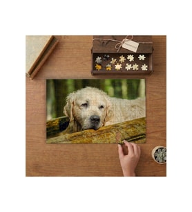 Yatan Sevimli Yaşlı Köpek Tasarımı 240 parça Ahşap Puzzle Ahşap Kutuda MP05021
