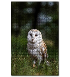 Cakapuzzle Çayırda Beyaz Baykuş Puzzle Yapboz MDF (Ahşap) (120 Parça)