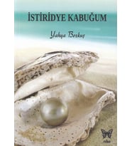 İstiridye Kabuğum