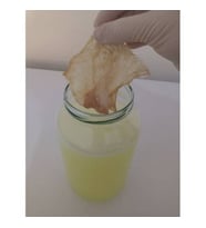 KUZU ŞİRDAN KURUSU 1ad (PEYNİR MAYASI YAPMAK İÇİN)