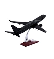 Zekupp - Maket Uçak - Boeing 737-800 1/100 - SİYAH ÖZEL TASARIM Model Uçak