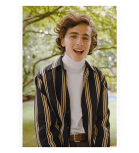 Timothée Chalamet Tablo Ahşap Poster Dekoratif