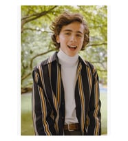 Timothée Chalamet Tablo Ahşap Poster Dekoratif