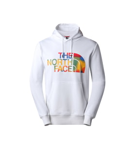 The North Face M Standard Hoodie Erkek Outdoor Sweatshirts NF0A3XYDIA01 Beyaz