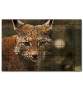 Cakapuzzle Vaşak Yakın Çekim Flu Arkaplan Puzzle Yapboz MDF (Ahşap) (120 Parça)