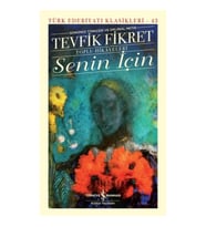 Senin İçin (Günümüz Türkçesi Orijinal Metin) - Türk Edebiyatı Klasikleri (Ciltli)