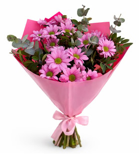 Pembe Papatyalar