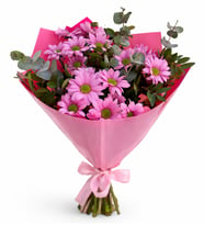 Pembe Papatyalar