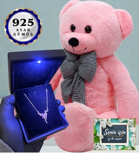Işıklı Kutusunda 925 Ayar Gümüş Kolye ve 80cm Pembe Peluş Ayıcık (Model 5)