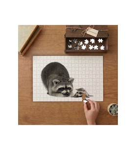 Anne ve Yavru Rakun Tasarımı 240 parça Ahşap Puzzle Ahşap Kutuda MP04998