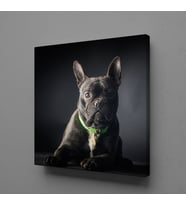 SİYAH KÖPEK KANVAS TABLO 190x190cm