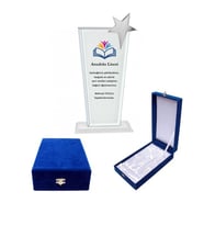 Kadife kutulu Cam Kristal Plaket gümüş yıldızlı