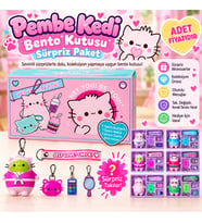 Pembe Kedi Bento Kutusu Sürpriz Paket (adet fiyatıdır)