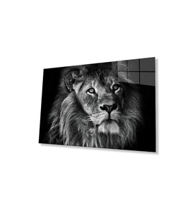 Aslan Cam Tablo 4mm Dayanıklı Temperli Cam (Çok Renkli)