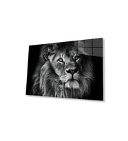 Aslan Cam Tablo 4mm Dayanıklı Temperli Cam (Çok Renkli)