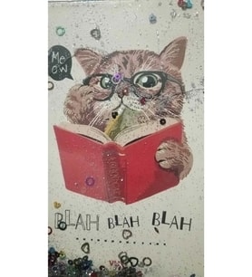 Kedi Resimli A5 Boy Simli Ve Sulu Kapaklı Defter Şahmat-1081