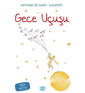 Gece Uçuşu