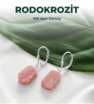 Luxtone Sertifikalı Rodokrozit 925 Ayar Gümüş Küpe Kadın Takı LX1140KP