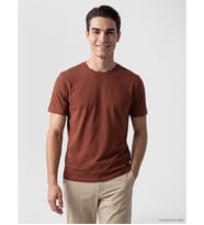 LCWAIKIKI Classic Kahverengi Regular Fit İnce Kumaş Tişört /03