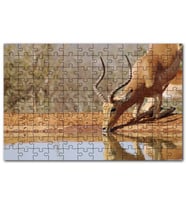 Cakapuzzle Savanada Diz Çökmüş Su İçen İmpala Puzzle Yapboz MDF (Ahşap) (120 Parça)