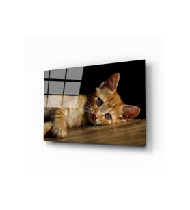 Miyrem Glasses Collection -A1^#  Kedi 4 Cam Tablo (Çok Renkli)