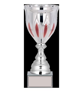 ODAK KUPA - X Large Kupalar - XL-025 B - 33 cm