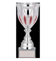 ODAK KUPA - X Large Kupalar - XL-025 B - 33 cm