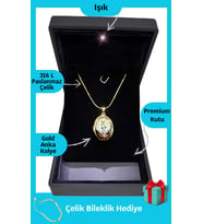 Işıklı Premium Kutuda  Anka Kuşu Alya Çelik Kolye  Hediye Paketi  Mardin Uzak Şehir (Gold)