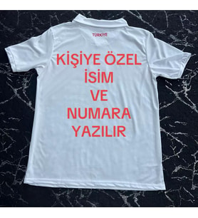 Türkiye Euro yeni sezon yakalı kişiye özel isim ve numara yetişkin Forması
