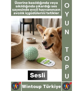 #Pet Evcil Hayvan Küçük Irk Köpek Avcılık İçgüdüsü Masaj Diş Kaşıma Sesli Dikenli Kedi Oyuncağı Topu