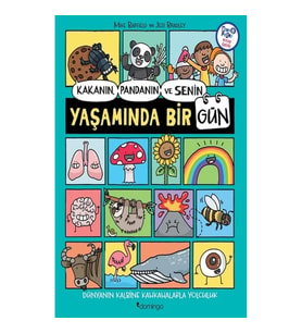 Kakanın, Pandanın ve Senin Yaşamında Bir Gün