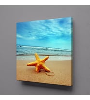 KUMSALDA DENİZ YILDIZI KANVAS TABLO 70x70cm (Karışık)