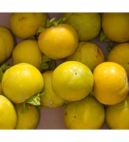 Hatay çikolata Cennet Hurması(2 kg)