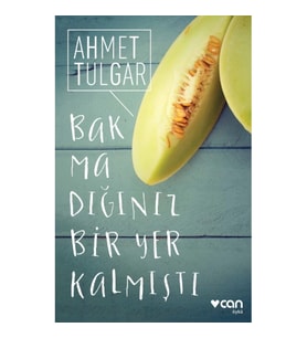 Bakmadığınız Bir Yer Kalmıştı