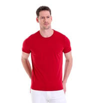 Hatemoğlu Bordo ST 22Y Basic Bisiklet Yaka Süprem T.Shirt (S-3XL)