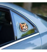 Fulcar Sarman Araç Stickerı