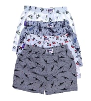 Sedef Yıldızı Erkek Çocuk Desenli Boxer 1037 - 12 Adet  (Karışık)