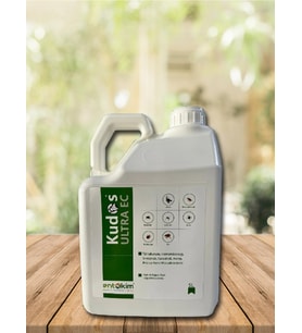 Kudos Ultra EC 5LT Kahverengi Kokarca Böceği İlacı